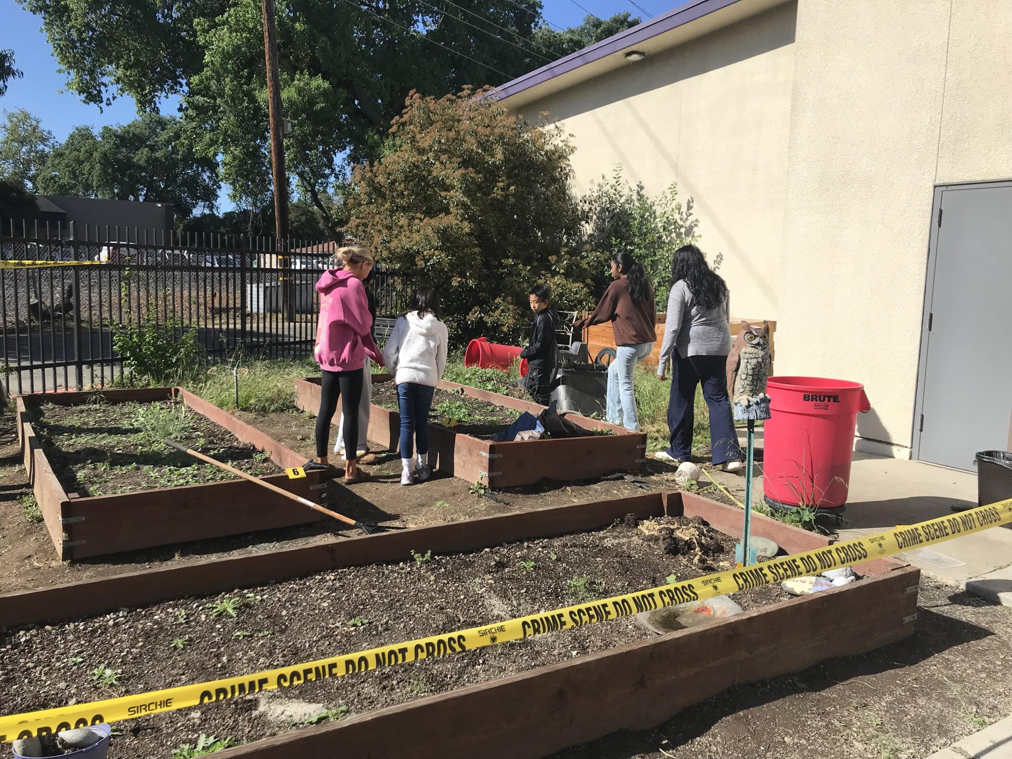 Solving Crimes and Exploring Hearts: A Day of Discovery for Alisal Pen Pals