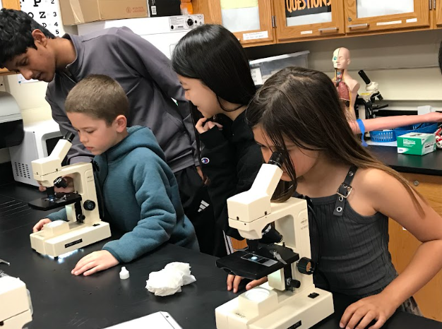 Solving Crimes and Exploring Hearts: A Day of Discovery for Alisal Pen Pals