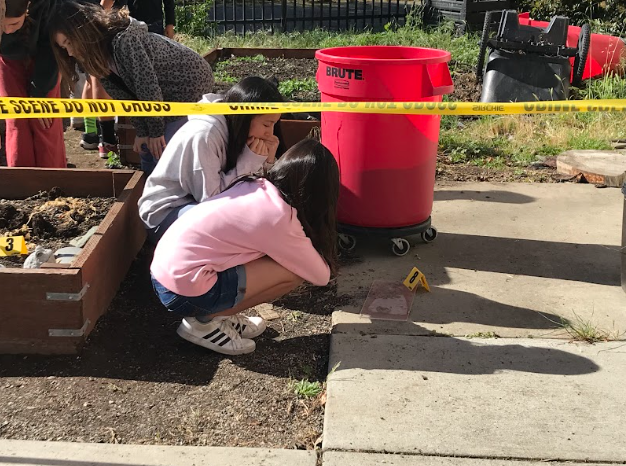 Solving Crimes and Exploring Hearts: A Day of Discovery for Alisal Pen Pals