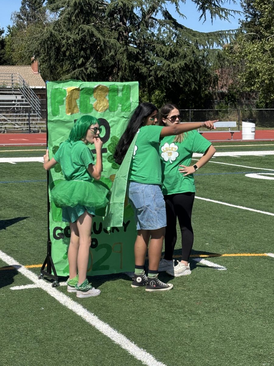 The Freshman Class Officers worked to decide who would be in the rally and who would be hyping up the crowd.