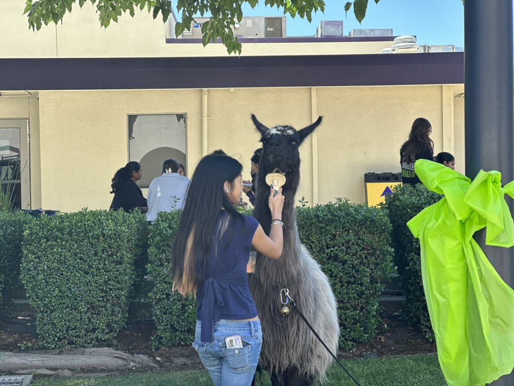 Mental Health Awareness Week Encourages Wellness During AP Season