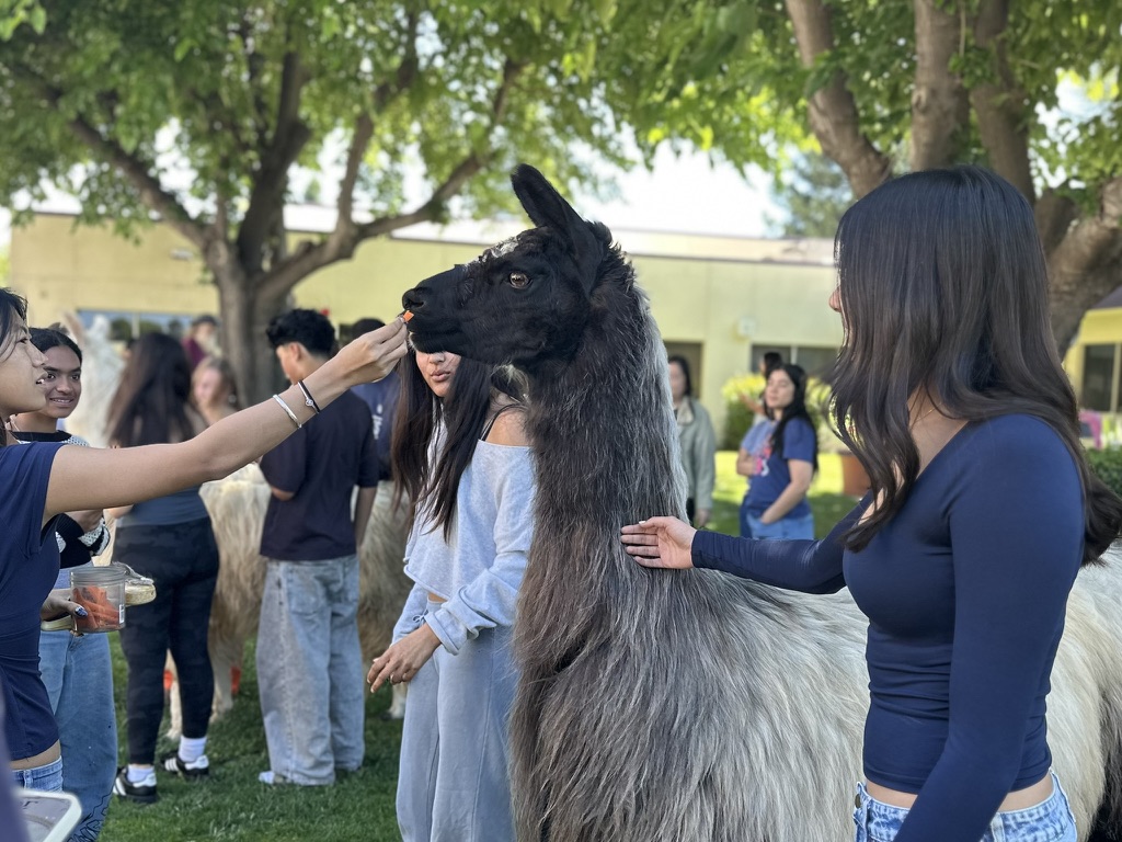 Mental Health Awareness Week Encourages Wellness During AP Season