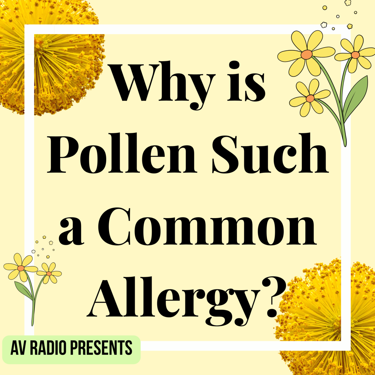 Why is Pollen Such a Common Allergy?
